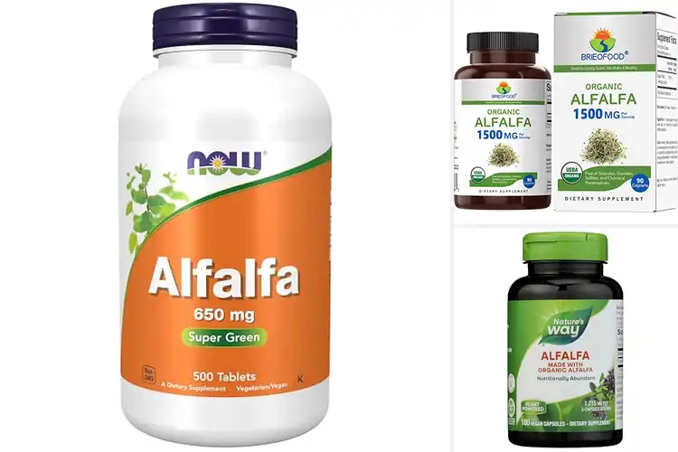 Detailed view of Best Alfalfa Supplements for Energy & Vitality