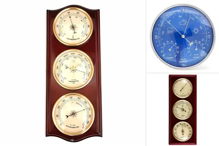 Detailed view of Best Analog Barometers: Top 10 Stylish Picks