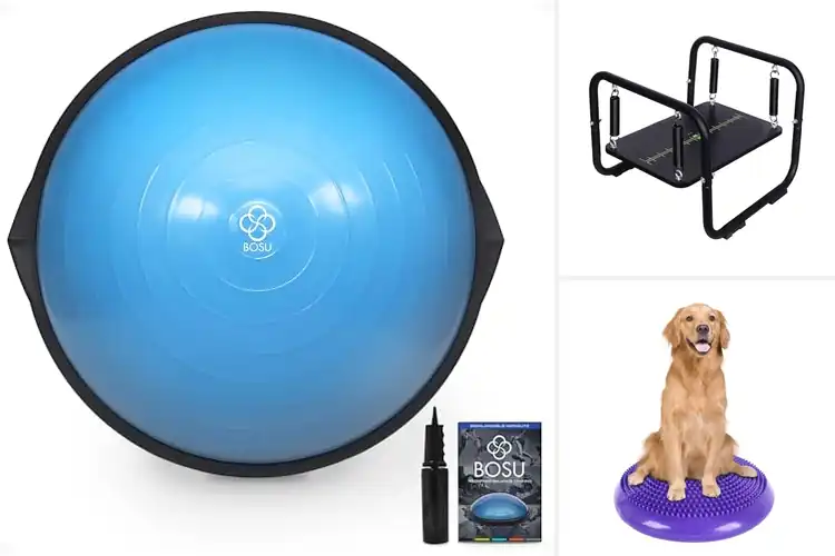 Detailed view of Best Balance Training Platforms