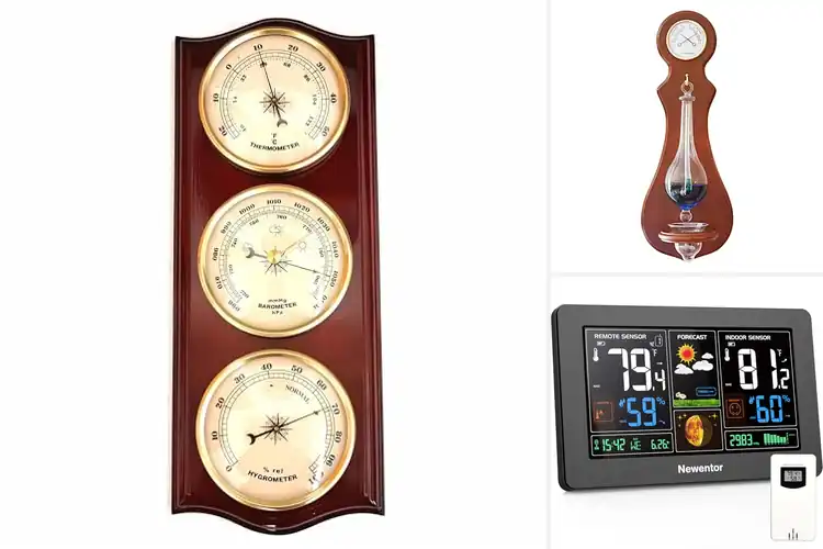 Detailed view of Best Barometers For Home: Top 10 Stylish Picks