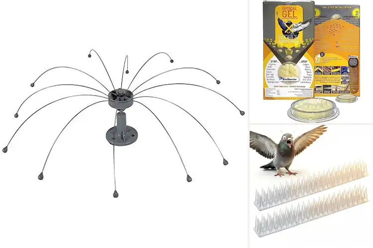 Detailed view of Best Bird Barriers: Top Picks for a Cleaner, Calmer Space
