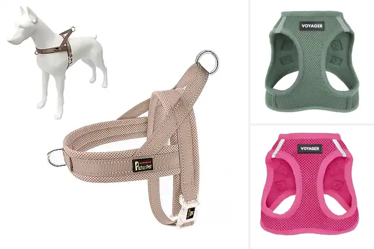 Detailed view of Best Breathable Dog Harnesses