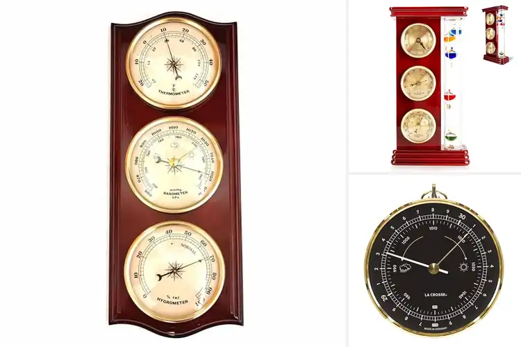 Detailed view of Best Classic Barometers
