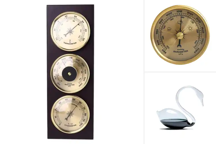 Detailed view of Best Decorative Barometers