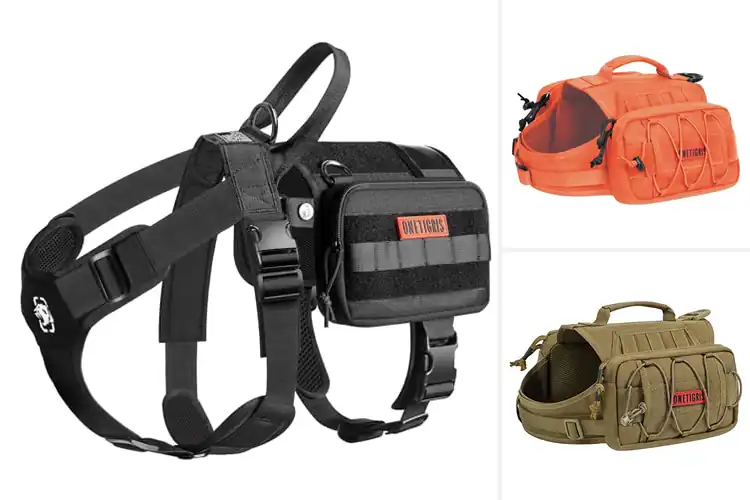 Detailed view of Best Dog Backpack Harnesses