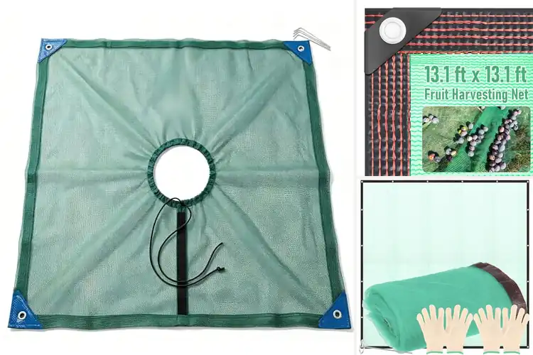 Detailed view of Best Harvest Nets for Effortless Fruit Gathering