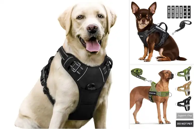 Detailed view of Best Non-Slip Dog Harnesses: Top Picks for Safety & Style