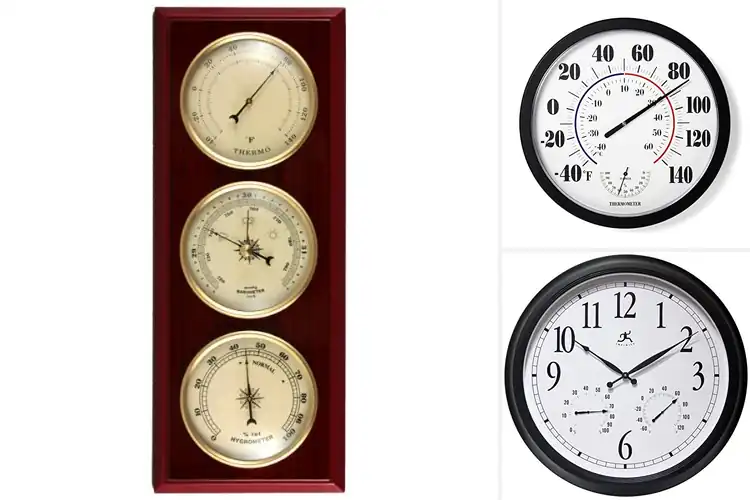 Detailed view of Best Patio Weather Instruments