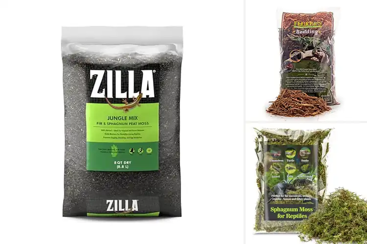 Detailed view of Best Snake Substrates: Top 10 Safe & Cozy Bedding Picks