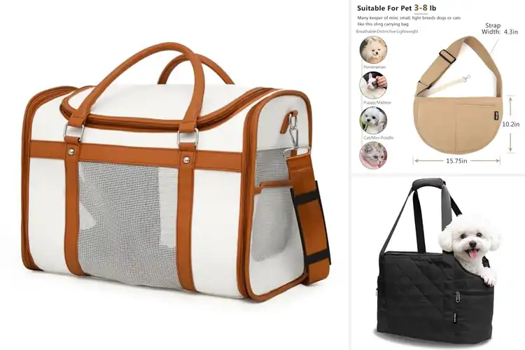 Detailed view of Best Stylish Dog Carriers