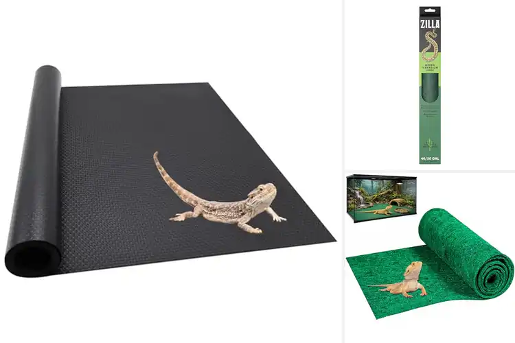 Detailed view of Best Terrarium Liners: Top Picks for Clean, Safe, Cozy Tanks