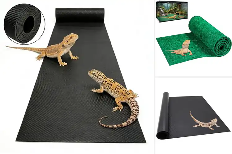 Detailed view of Best Washable Reptile Liners